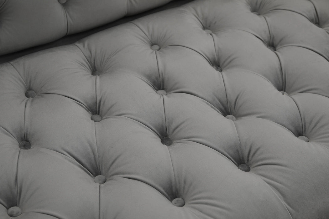 Salma Modern Style Gray Sectional with Acrylic legs