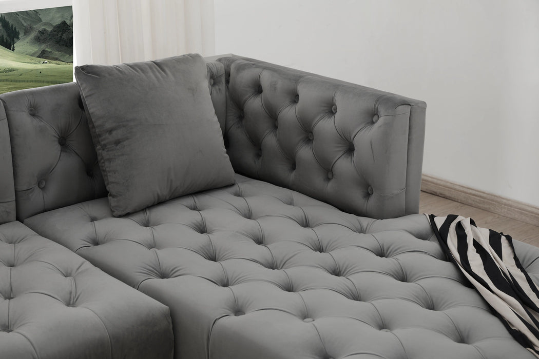 Salma Modern Style Gray Sectional with Acrylic legs