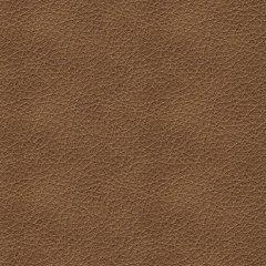 Bolsena Sofa Sleeper