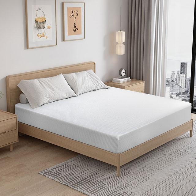 Artemisia 12" Memory Foam Mattress