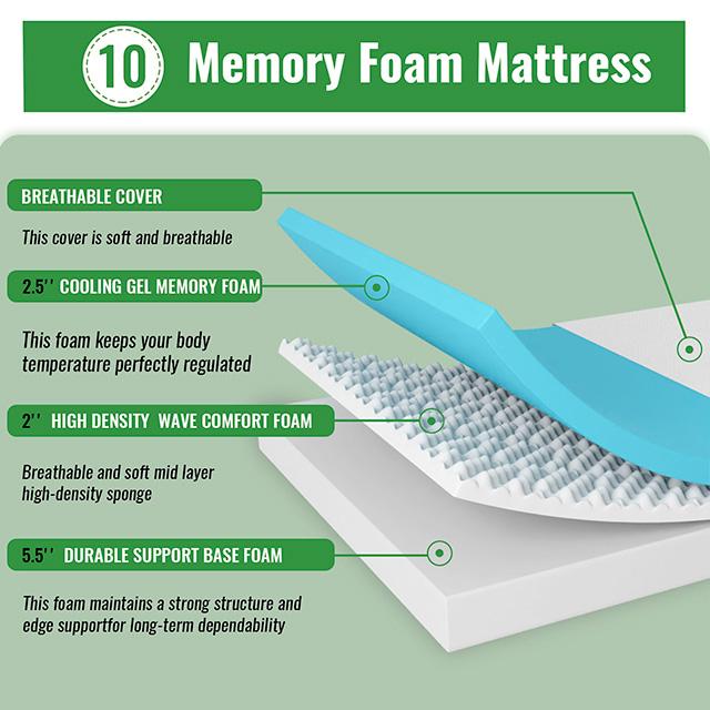 Coreopsis 10" Queen Memory Foam Wave Comfort