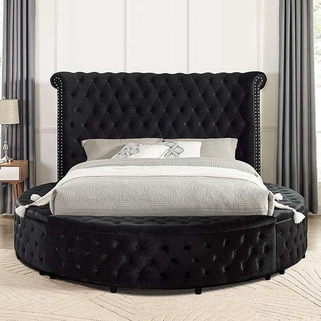 SANSOM Queen Bed, Black
